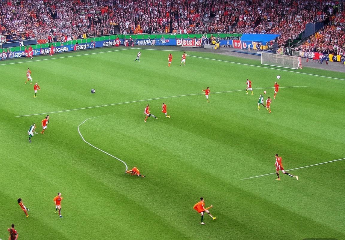 2004欧洲杯荷兰VS葡萄牙巅峰对决：激情绿茵战记(图1)